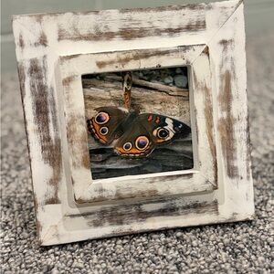 Rustic Brown and Cream Photo Frame with butterfly picture
